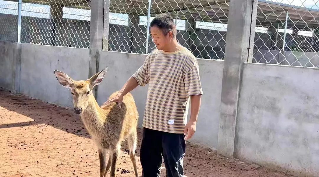 天吉彩网